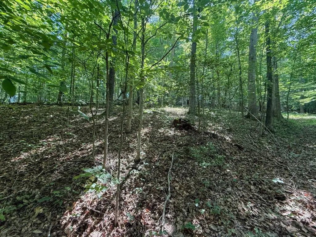 Picture 16