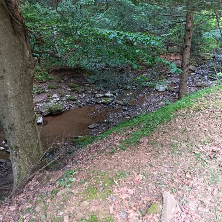 Picture 26