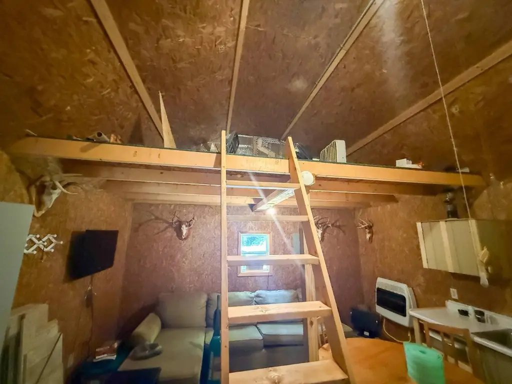 Picture 8