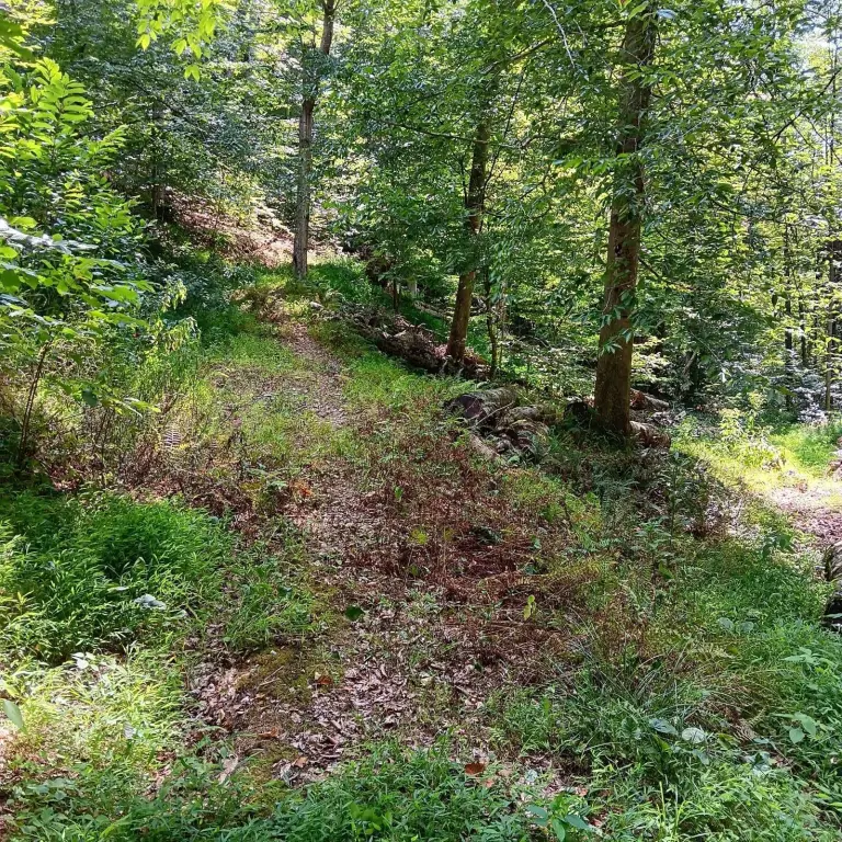 Picture 19