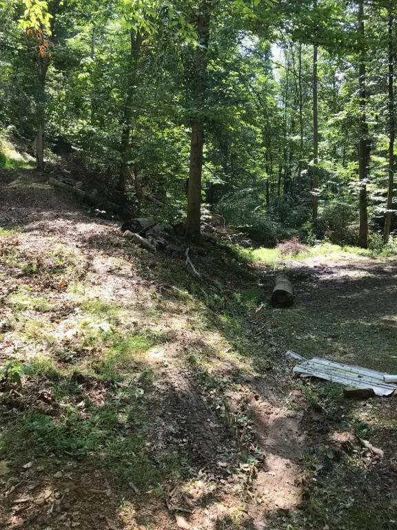 Picture 23