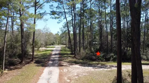 Wooded Corner Lot Near Bay