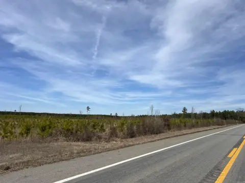 16.8 Acres Timberland Investment Opportunity