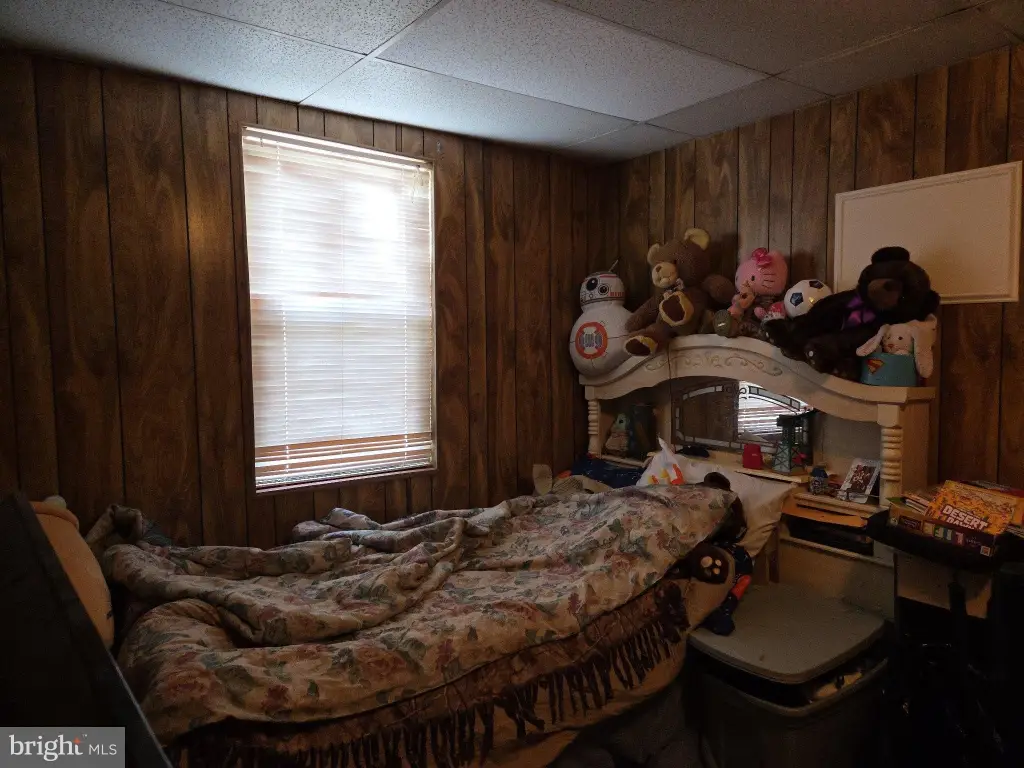 Picture 15
