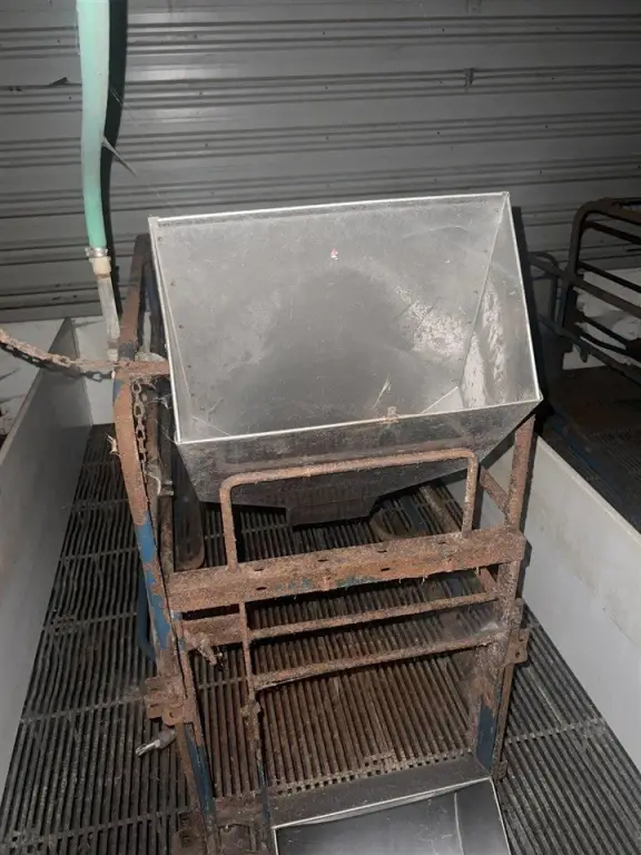 Picture 17