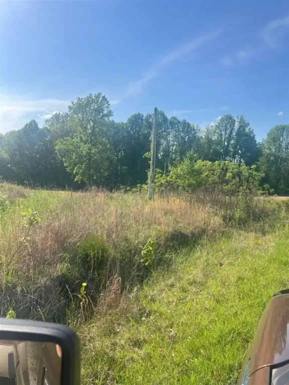 Picture 45