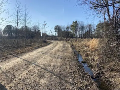 Hempstead County Hunting and Timber Land