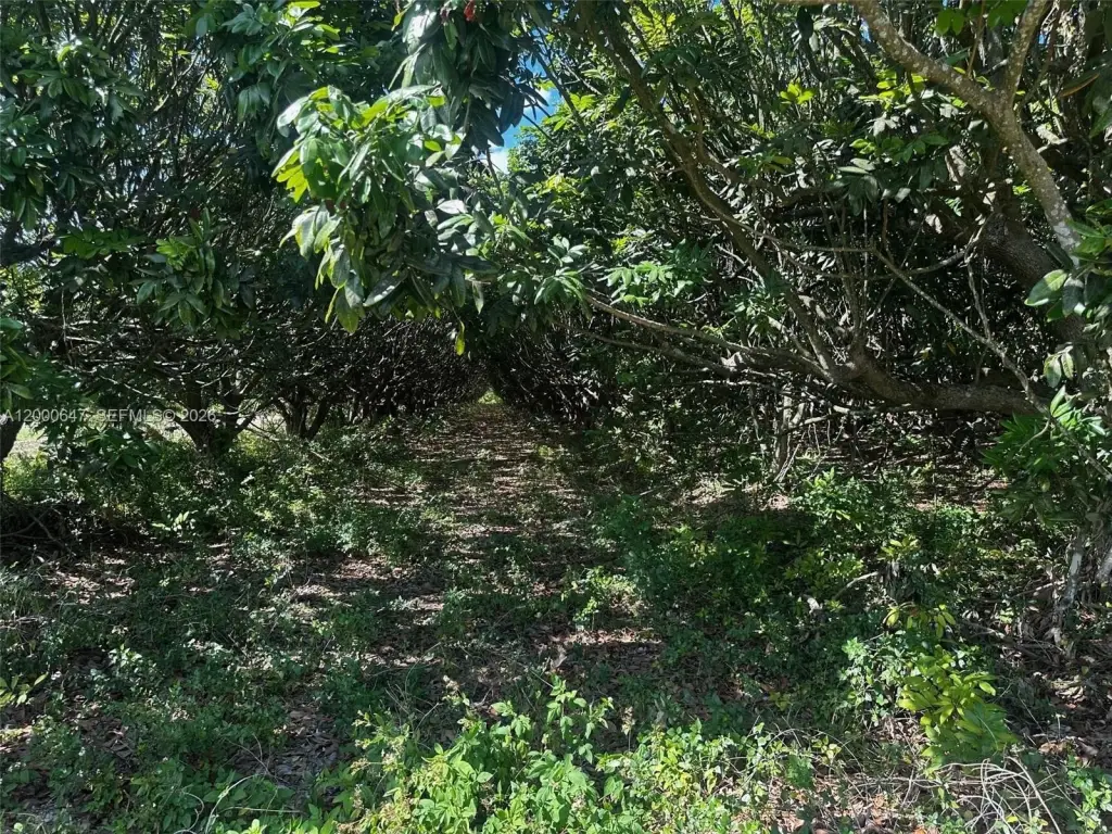 Picture 4