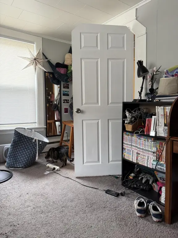 Picture 33