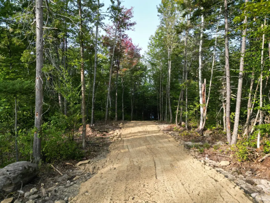 Picture 5