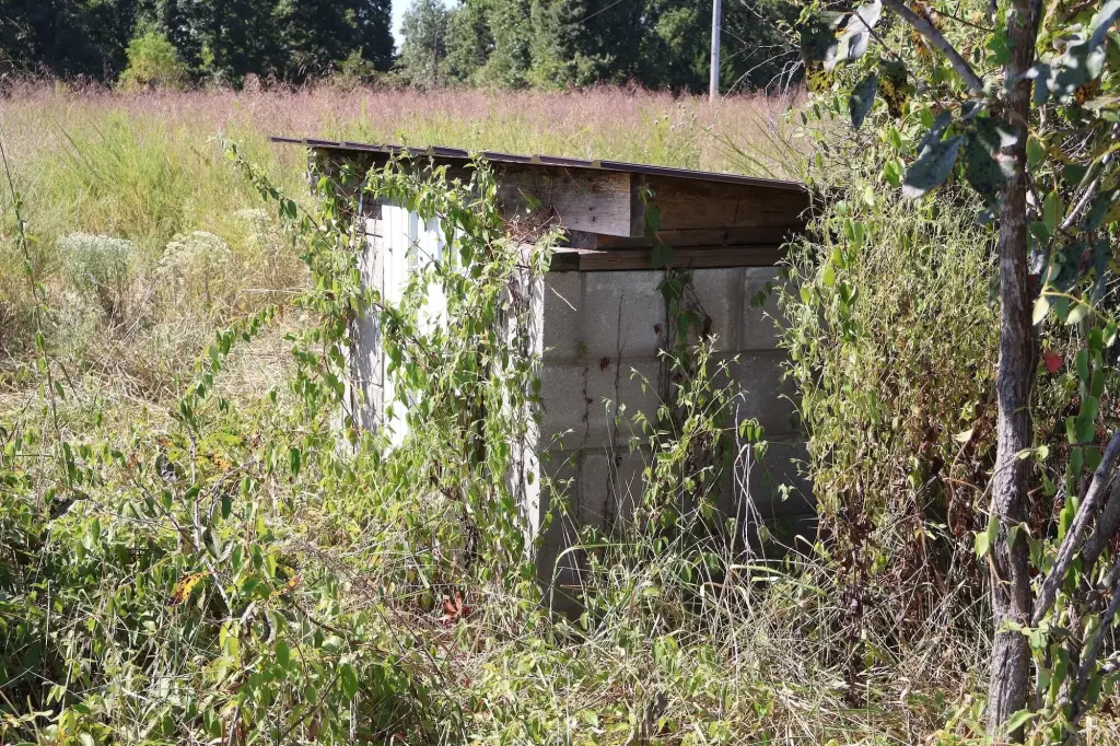 Picture 17