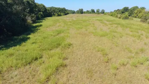 Agricultural Land with Pasture and Timber