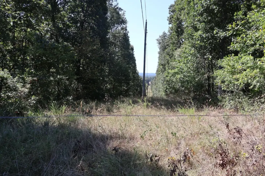 Picture 23