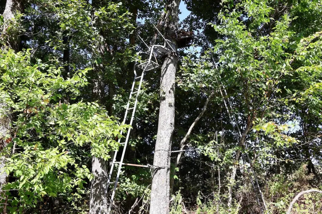 Picture 25