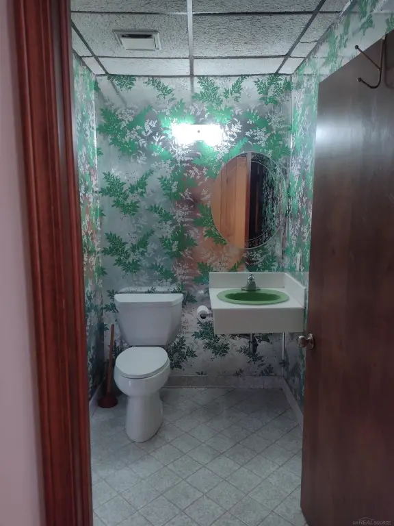 Picture 7