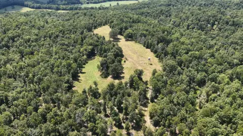 Wooded Hunting Land