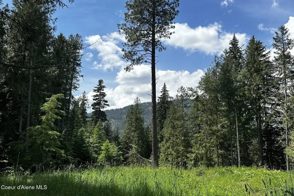 Picture 28