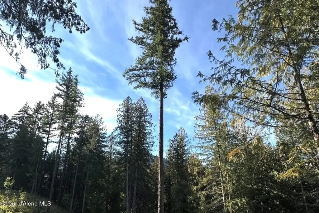 Picture 29