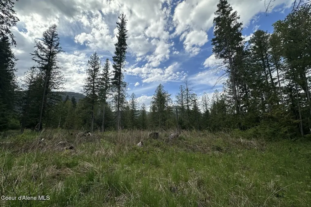 Picture 25