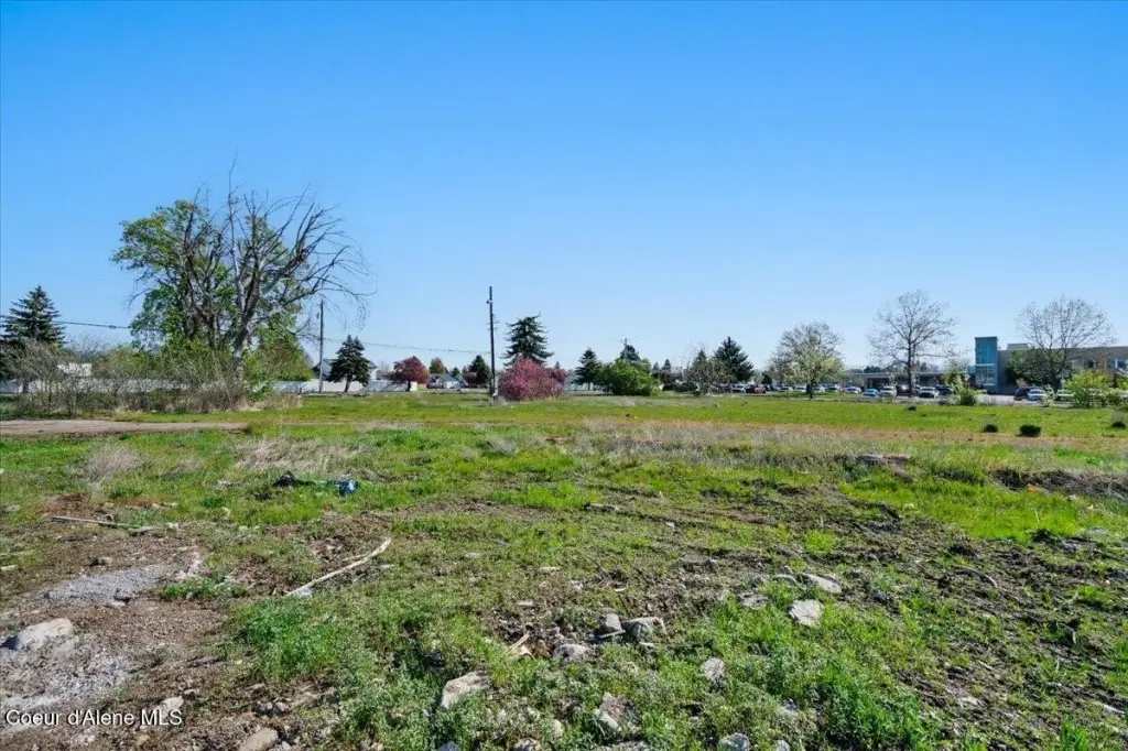 Picture 17