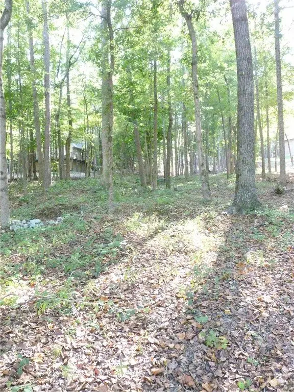 Picture 18