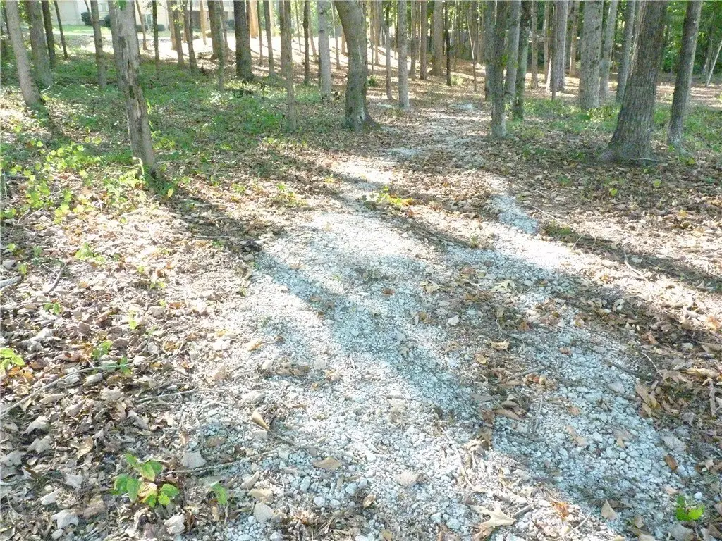 Picture 16