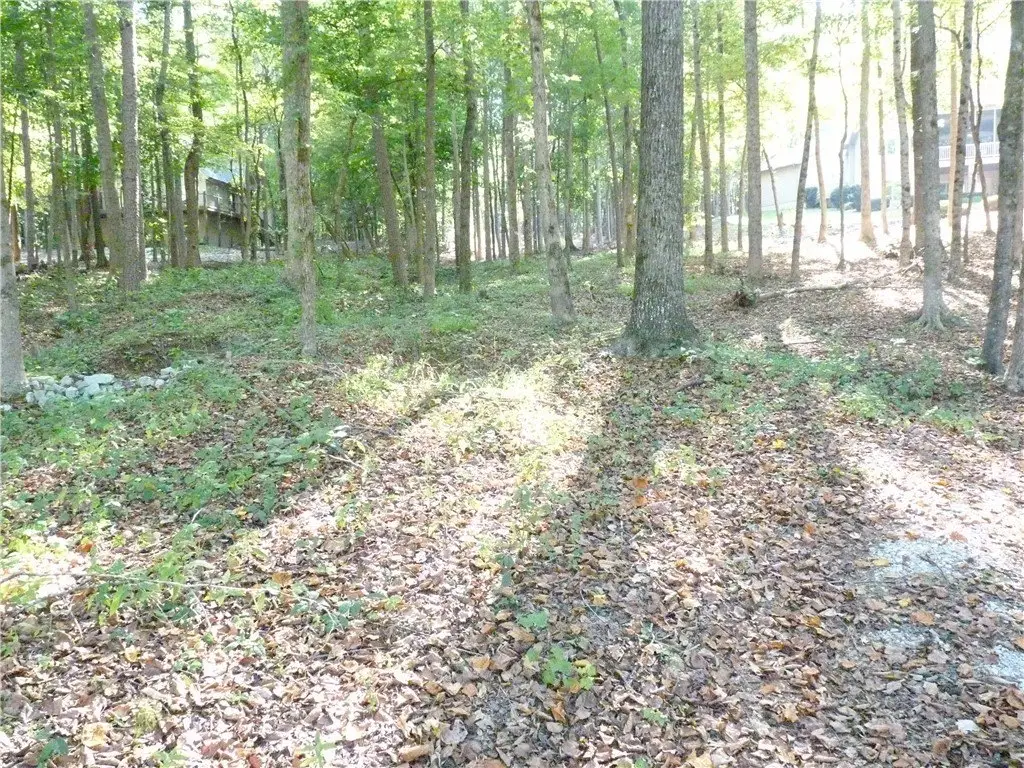 Picture 17