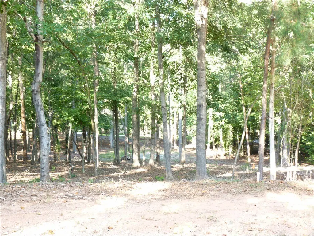 Picture 27