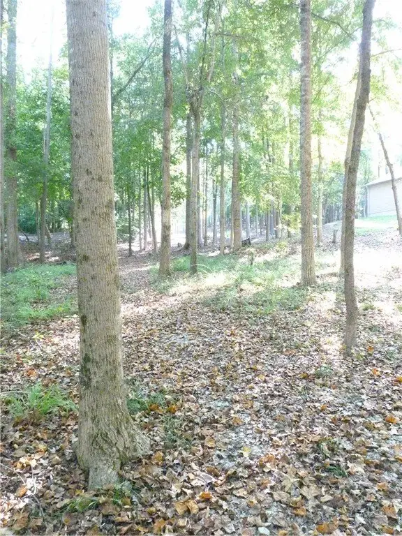 Picture 19