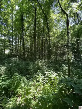 Lake Area Residential Land