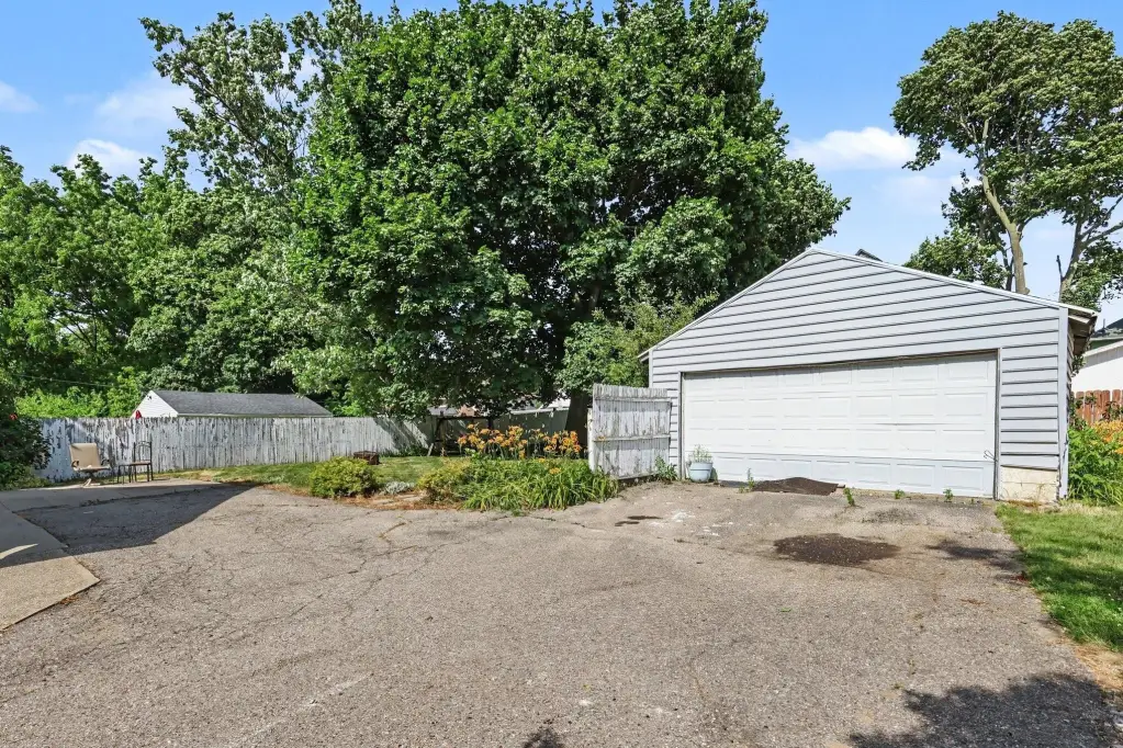 Picture 5