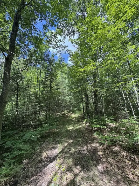 Picture 25