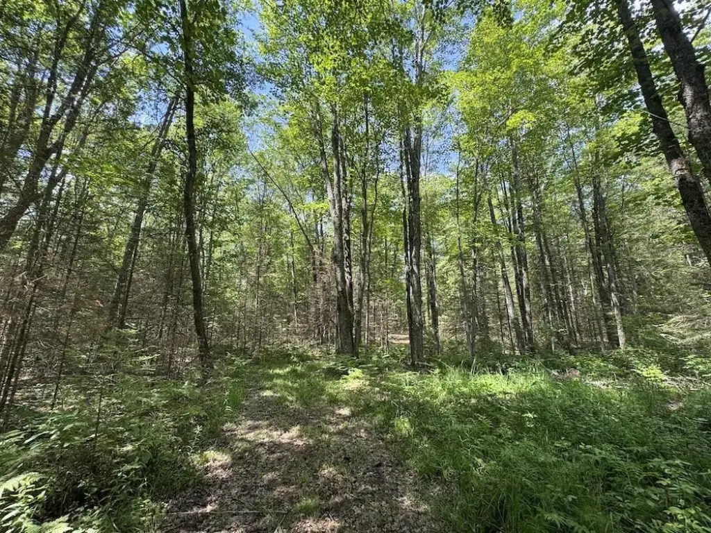 Picture 37