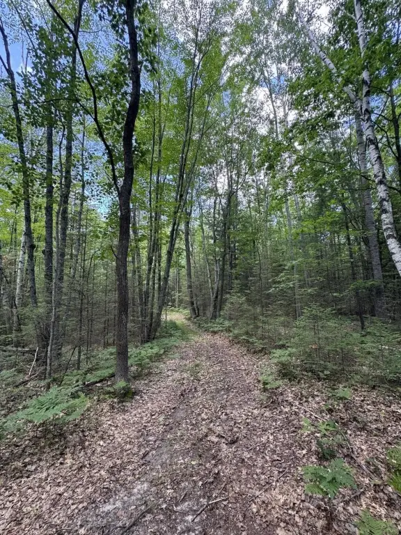 Picture 29