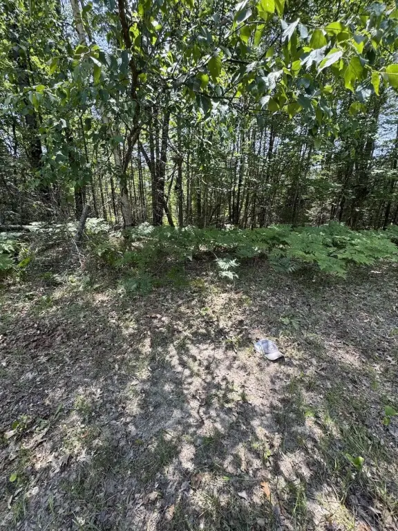 Picture 48