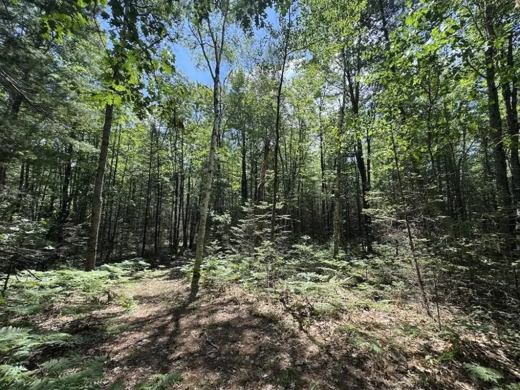 Picture 43