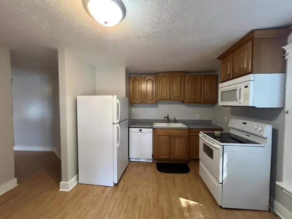 Picture 16