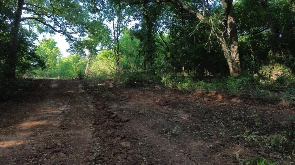 Picture 21