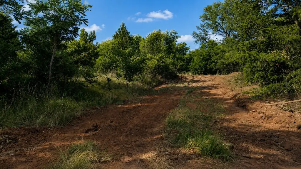 Picture 28