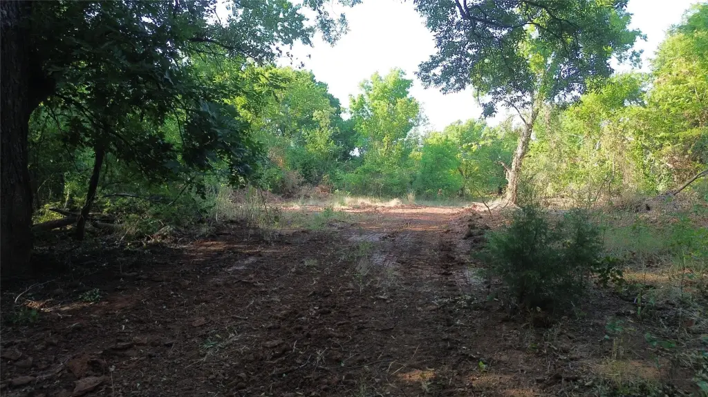 Picture 18