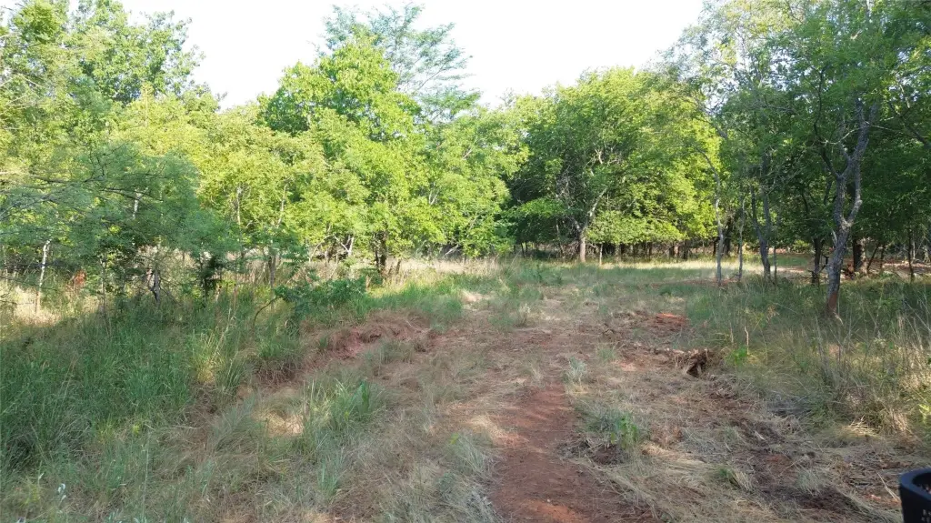Picture 27