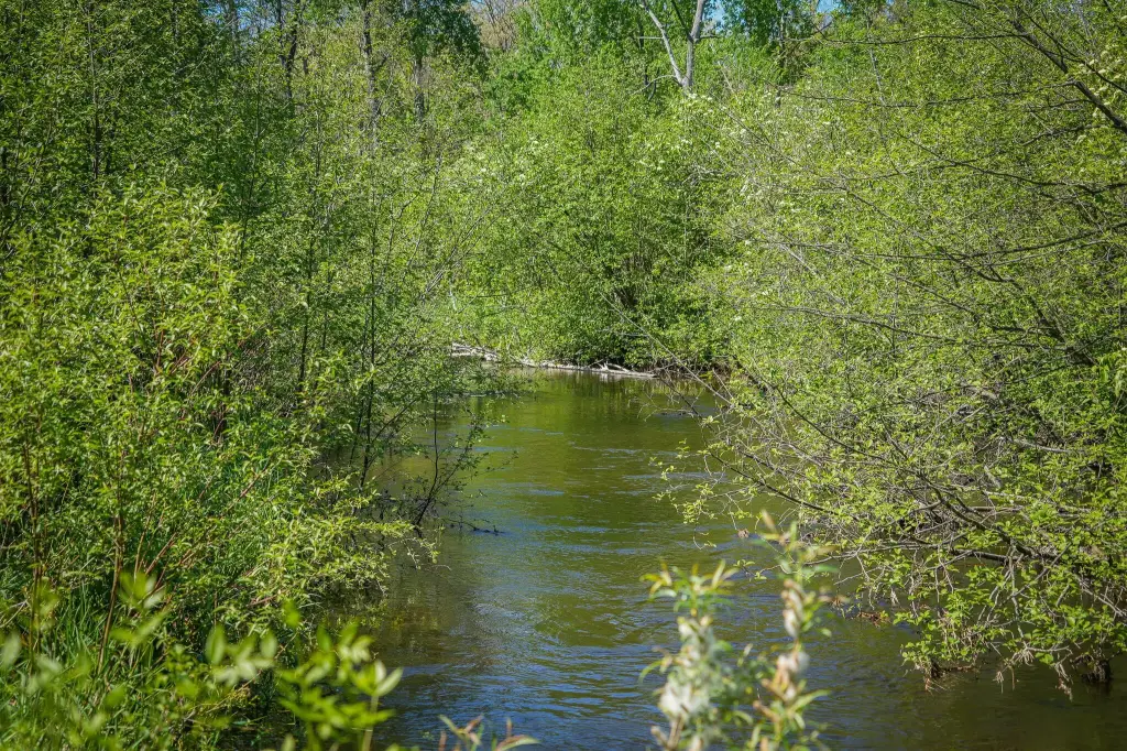 Picture 39