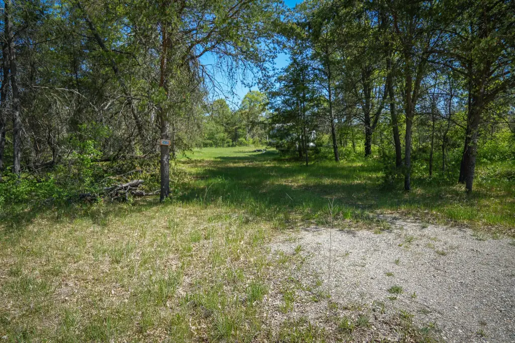 Picture 27