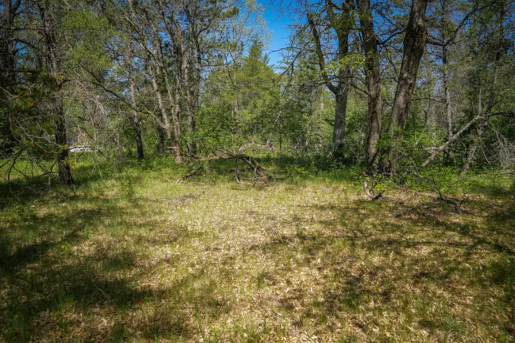 Picture 30