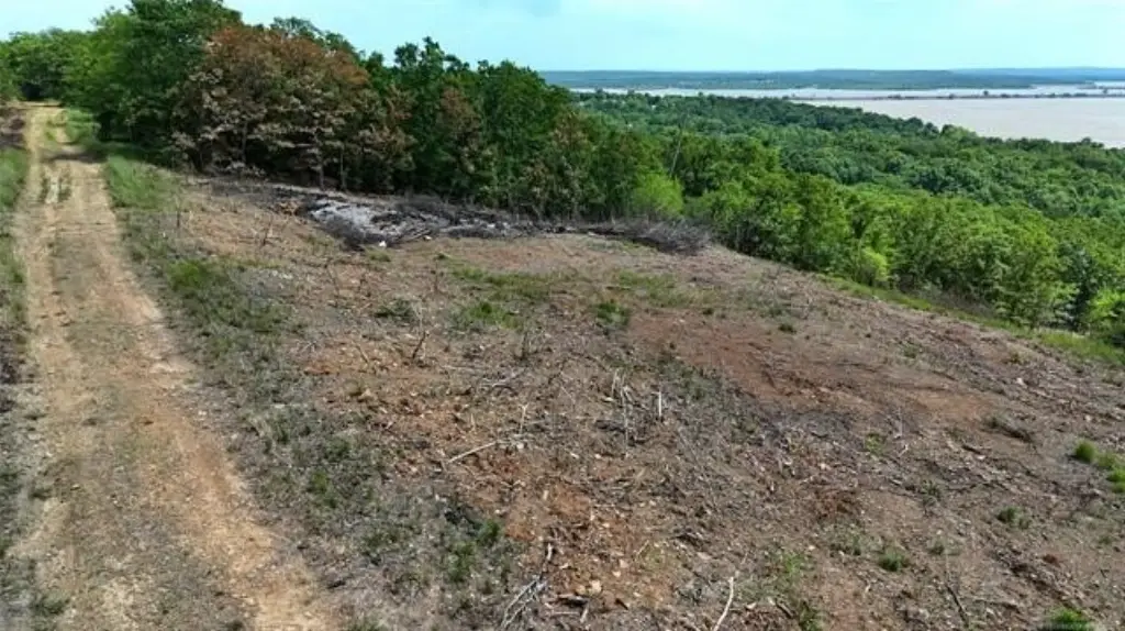 Picture 21