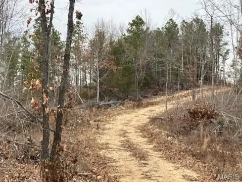 23.8 Acres Wooded Getaway Property