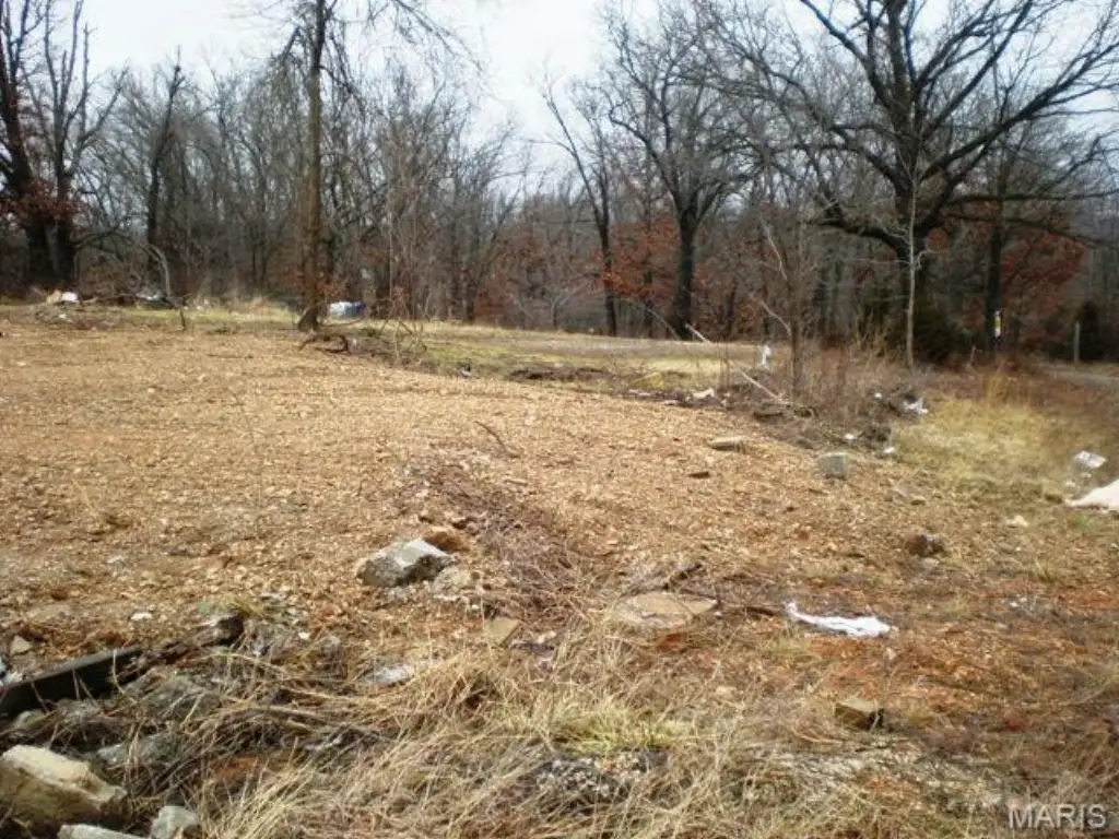 Picture 4