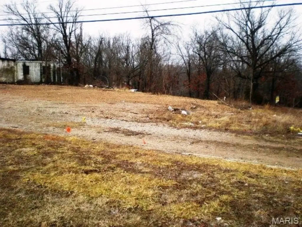 Picture 3