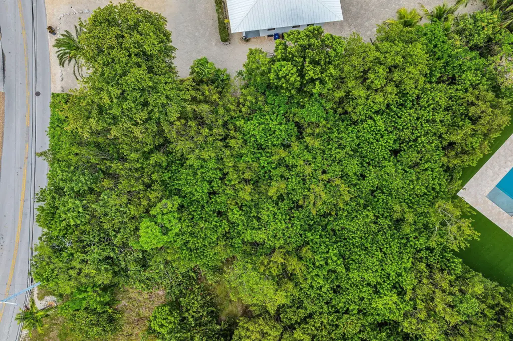 Picture 10