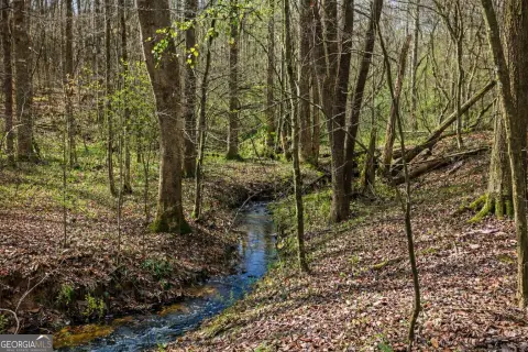 Unrestricted Land with Flowing Creek